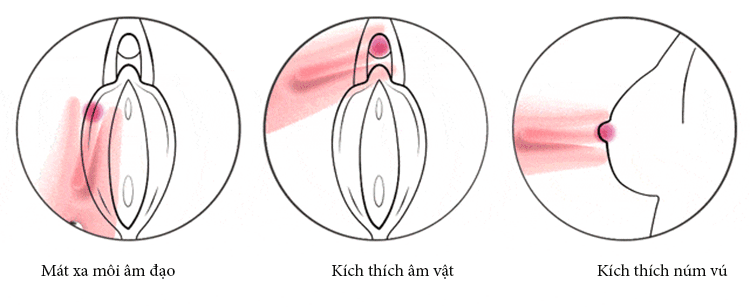 Dụng cụ massage nhũ hoa điểm G Cookie & Candy